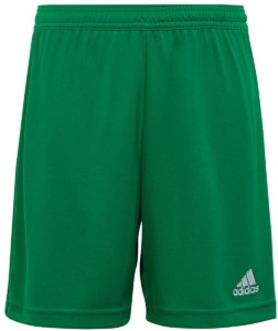 Adidas Sport Ent22 Sho Y Korte Broek Sportwear Kind Groen