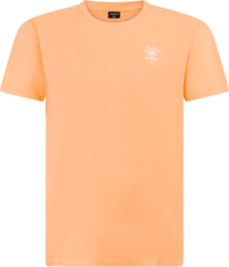 Protest Prtkathy T shirt Dames Korte mouwen Ronde hals Cantaloupe Ii