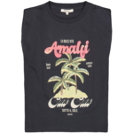 Antraciet