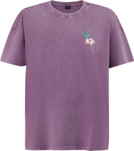 Protest PRTBentes T-shirt Dames Loose fit Paars