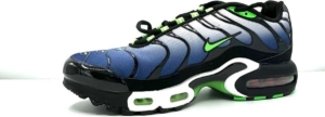 Nike Air max plus Blauw