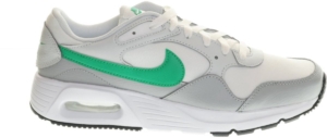Lichtgrijze Nike Sneaker Air Max Blauw