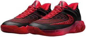 Nike Giannis Immortality 4 Sportschoenen Mannen Zwart