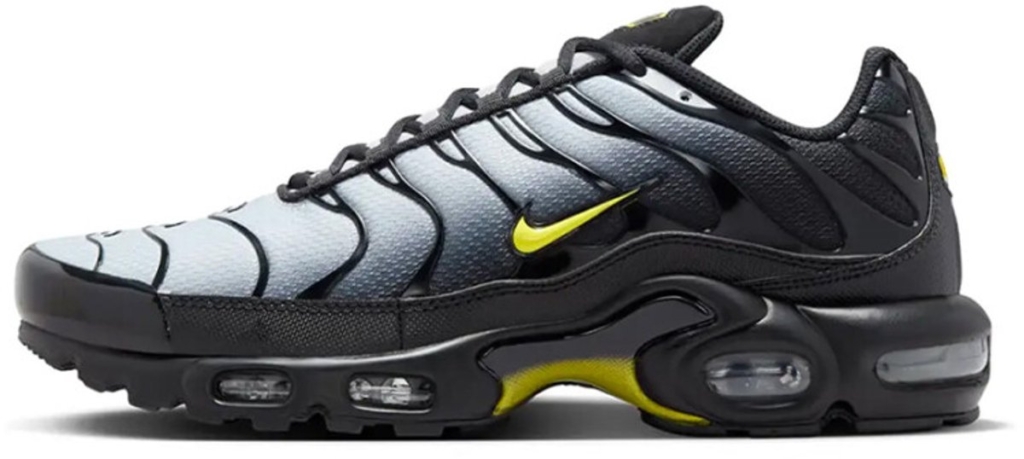 Nike Nike Air max Plus Sneakers Heren Zwart
