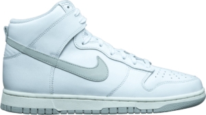 Nike Dunk High Neutral W Sneakers Unisex 111 Wit