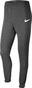 Nike Park 20 Broek Mannen Grijs