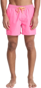 Quiksilver Everyday Heren Zwemshort Eqyjv04120-mjb0 Kleur Paars
