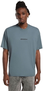 Dickies Enterprise T-shirt Met Korte Mouwen M Man Stormy Weather