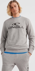 O´neill N2750006 N2750006 Sweatshirt XL Man Zilver
