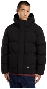 Dickies Eagleville Doudoune L Man Zwart