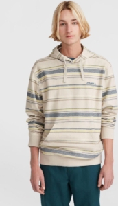 O’neill Truien O’NEILL BAVARO HOODIE Grijs