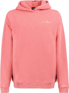 Protest Prtdafny Hoodie Dames Lange mouwen Ronde hals Capuchon Roze