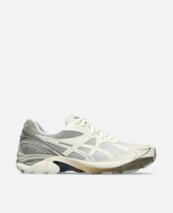 Asics GT-2160 x Dime