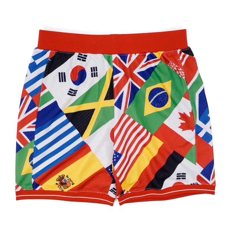 Cashmere Sound Flag Basketball Shorts /Multi Multicolor