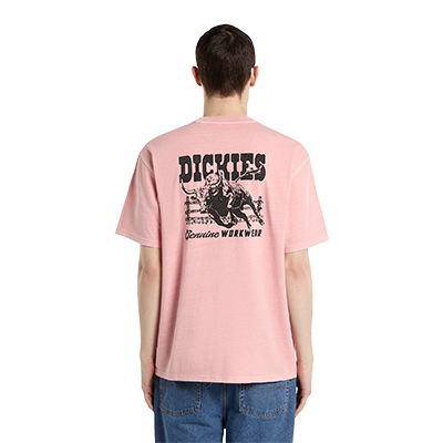 Dickies Buchtell SS T-shirt