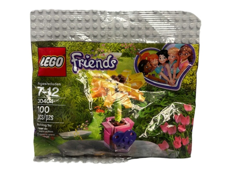 LEGO Friends Friendship Flower Set 30404
