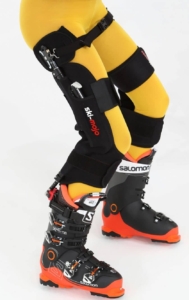 Ski Mojo Zilver