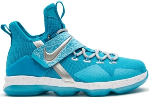 Nike LeBron 14 Ric Flair Zilver