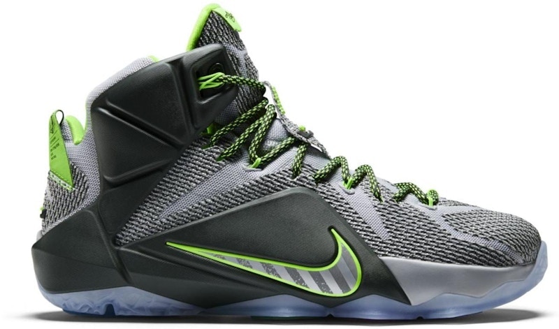 Nike LeBron 12 Dunk Force Grijs