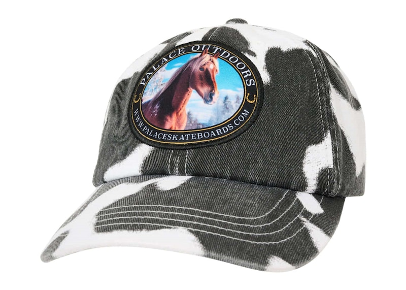 Palace Outdoors 6-Panel Print