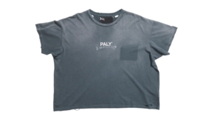 Paly Core Logo Tee Washed Blauw
