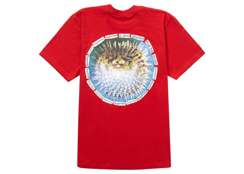 Supreme Blowfish Tee Rood