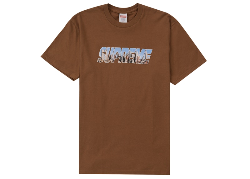 Supreme Gotham Tee Light Bruin