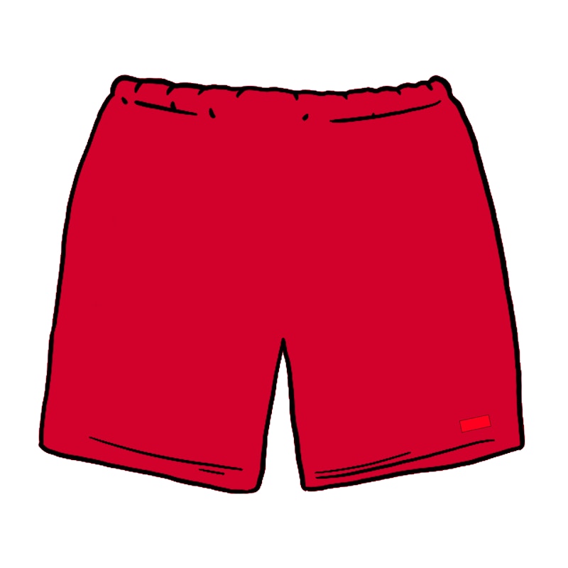 Supreme Nylon Water Short Rood