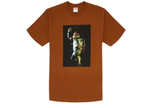 Supreme Raphael Tee Bruin