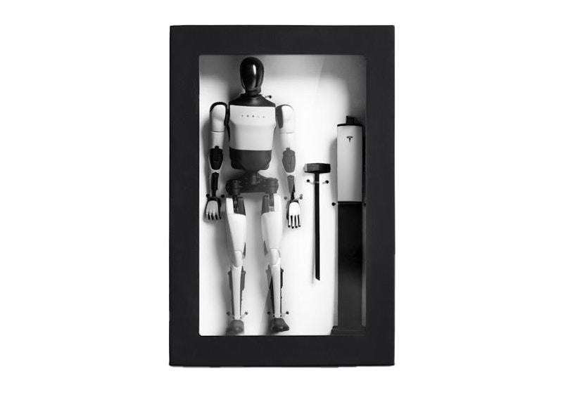 Tesla Bot Action Figure