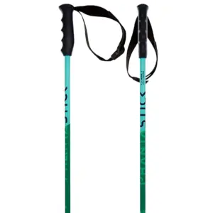Volkl Phantastick Junior Stokken Groen