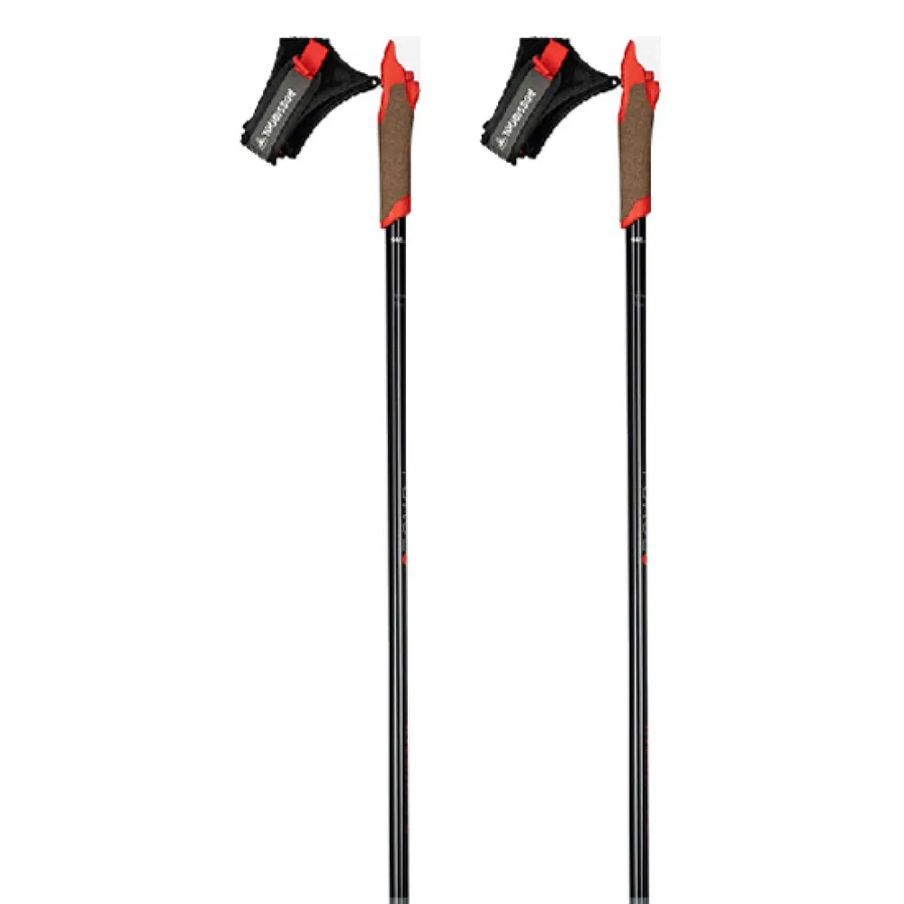 Rossignol Force 3 Stokken Zilver