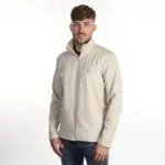 Grijs