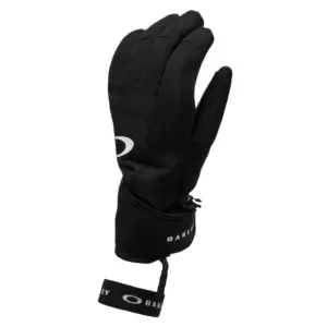Oakley Apparel Powder Ridge Handschoenen Blackout