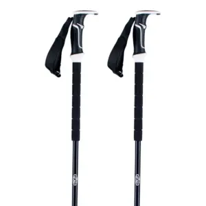 Bca Scepter Carbon Stokken Zwart