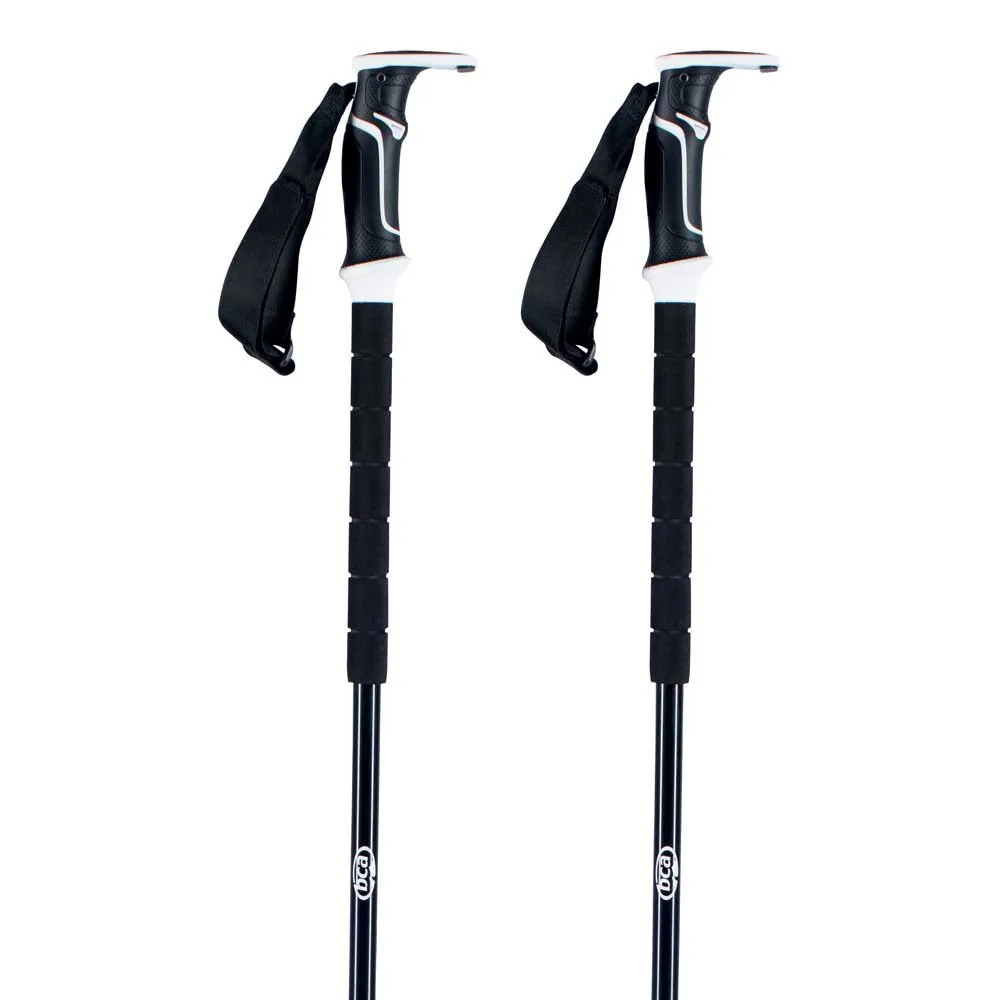 Bca Scepter Carbon Stokken Zwart