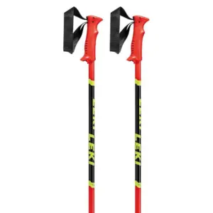 Leki Alpino Racing Junior Stokken Zwart