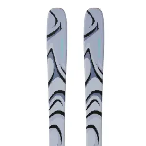 Salomon Qst 100 Alpineski´s Grijs