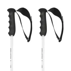 Head Worldcup Rebels Carbon Stokken Zwart