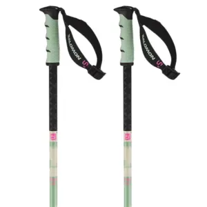 Salomon Steep Pro S3 Stokken Groen