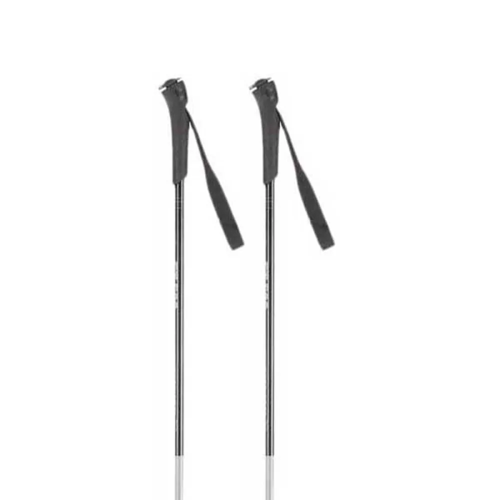Rossignol Ft-500 Stokken Grijs
