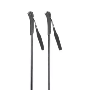 Rossignol Ft-501 Junior Stokken Grijs