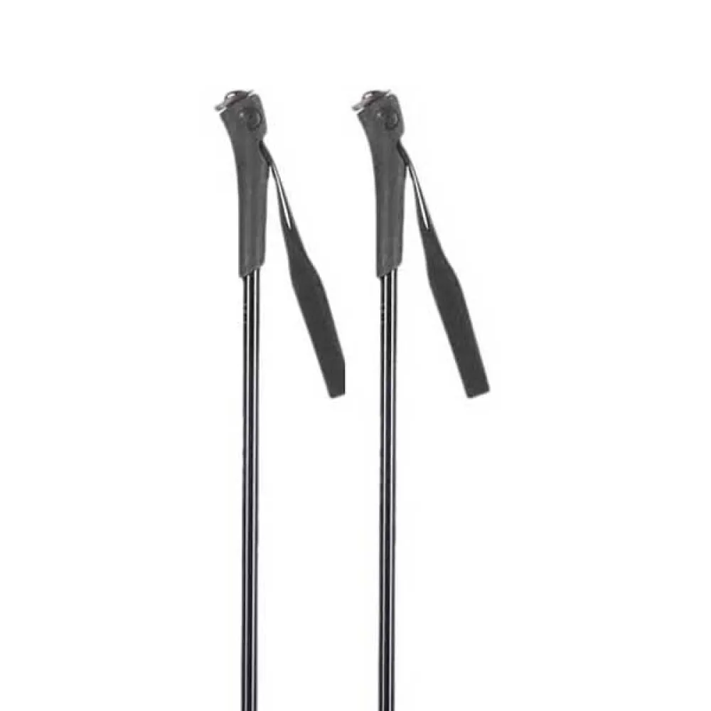 Rossignol Ft-501 Junior Stokken Grijs