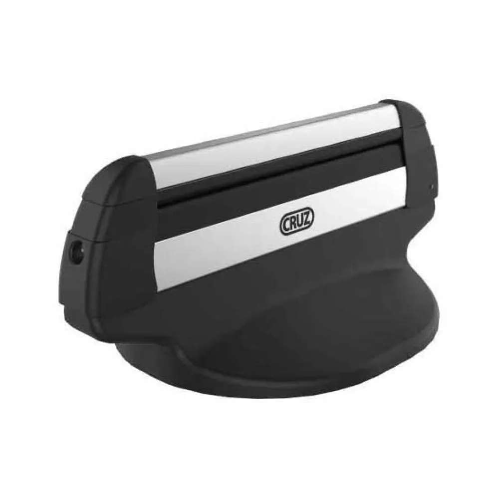 Cruz Skibox Zilver