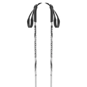 Salomon Alu Stokken Zilver