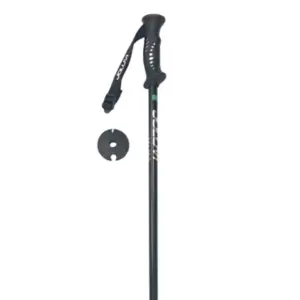Joluvi Ski Pro Stokken Zwart