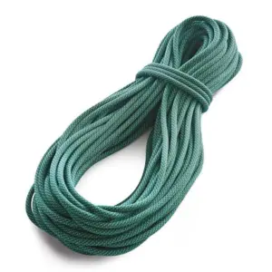 Tendon Master 9.4 Mm Standard Touw Blauw
