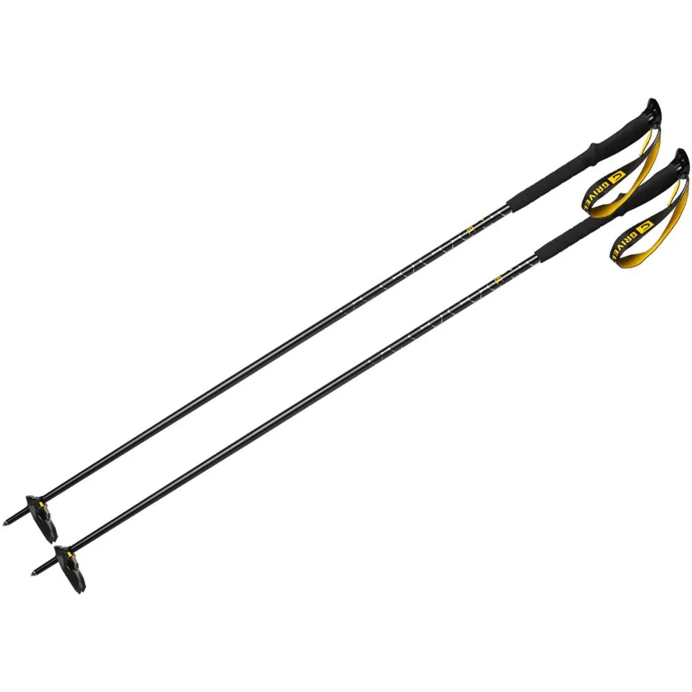 Grivel Ski Tour Stokken Multicolor