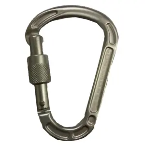 Climbing Technology Concept Sg Karabijnhaak Grijs