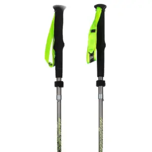 Dynafit Vertical Pro Stokken Zwart